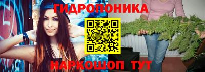 индика Моздок
