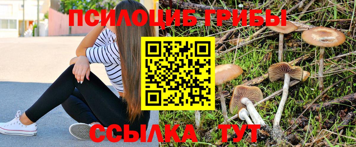 Псилоцибиновые грибы прущие грибы  Вход с VPN  хочу   Тара 