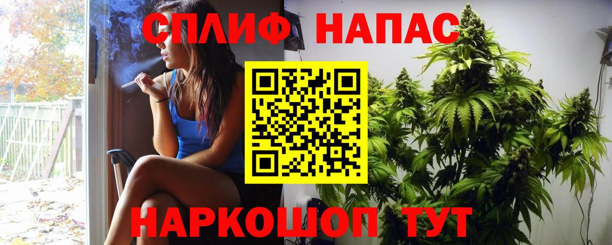 Конопля гибрид Тара